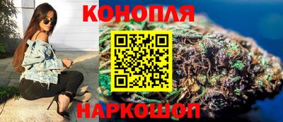 прущие грибы Ачхой-Мартан