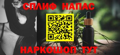 прущие грибы Ачхой-Мартан